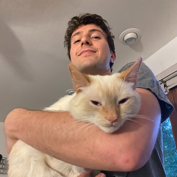 elidavidlewis7